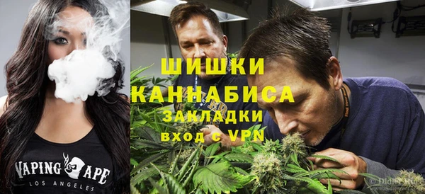 индика Магадан
