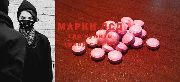 apvp Магас