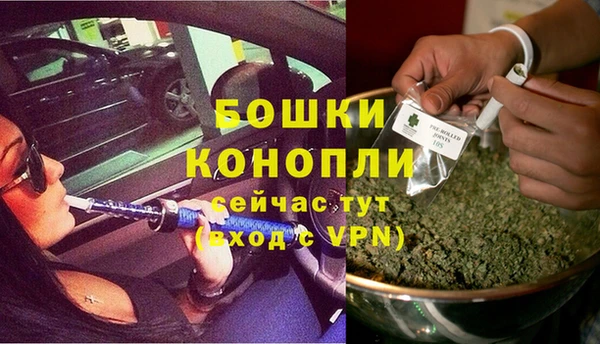 apvp Магас