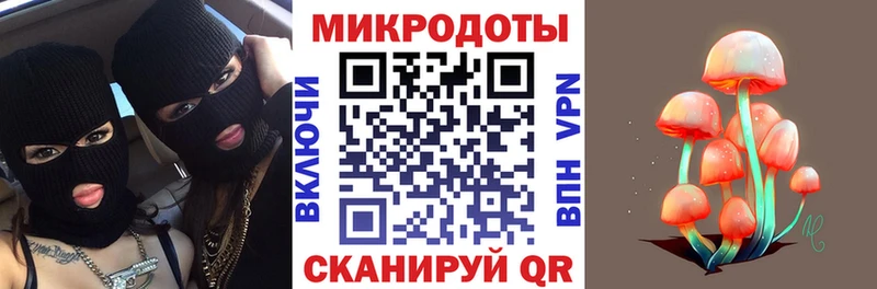 Псилоцибиновые грибы мицелий  Дно 